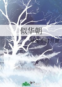 《似华朝》
