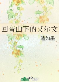 《回音山下的艾尔文》
