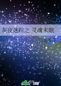 《灰夜迷踪之 灵魂未眠》