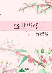 《盛世华鸢》