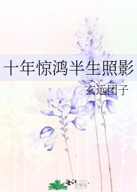 《十年惊鸿半生照影》