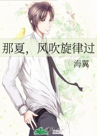 《那夏,风吹旋律过》