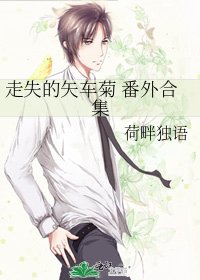 《走失的矢车菊 番外合集》