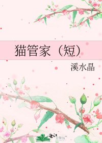 《猫管家(短)》