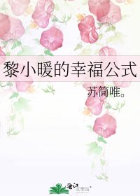 《黎小暖的幸福公式》