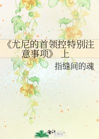 尤尼的首领控特别注意事项
