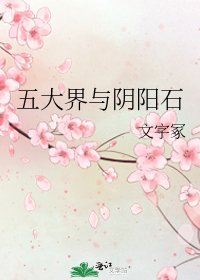 《五大界与阴阳石》
