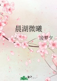 《晨湖微曦》