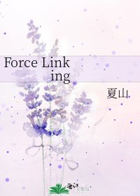 《Force Linking》