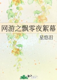 《网游之飘零夜絮幕》