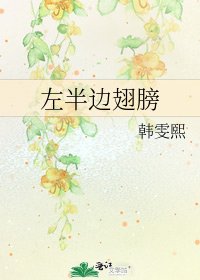 《左半边翅膀》