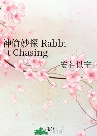 《神偷妙探 Rabbit Chasing》