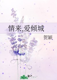 《情来,爱倾城》