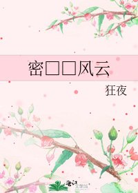 《密□□风云》