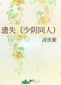 《遗失(少阴同人)》