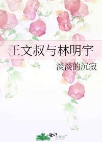 《王文叔与林明宇》