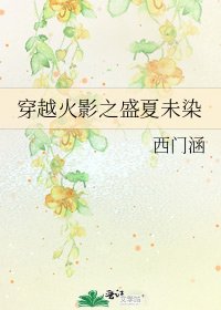 《穿越火影之盛夏未染》