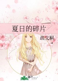 《夏日的碎片》