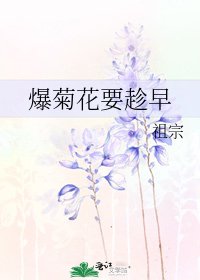 《爆菊花要趁早》