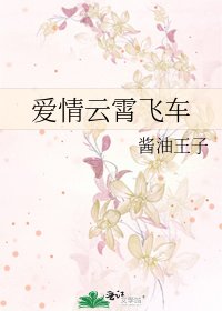 《爱情云霄飞车》