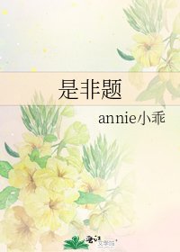《是非题》