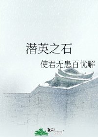 《潜英之石》