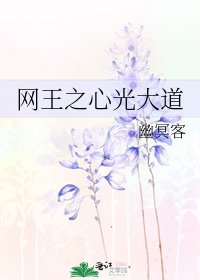 《网王之心光大道》