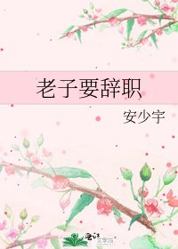 《老子要辞职》