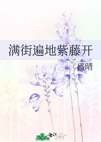 《满街遍地紫藤开》
