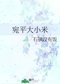 《宛平大小米》
