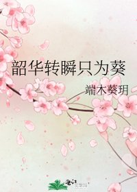 《韶华转瞬只为葵》