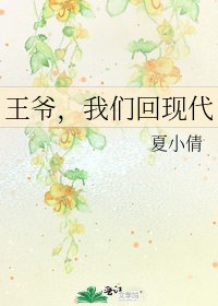 《王爷,我们回现代》