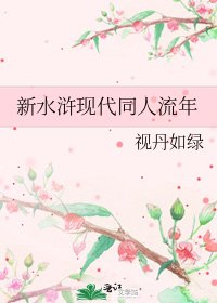 《新水浒现代同人流年》