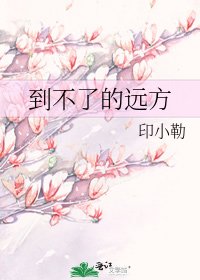 《到不了的远方》