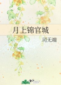 《月上锦官城》