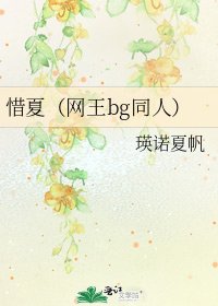 《惜夏(网王bg同人)》