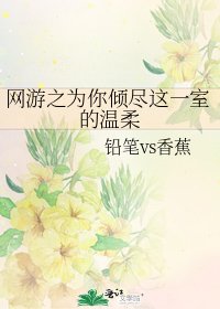网游之为你倾尽这一室的温柔