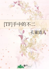 [TF]手中的不二
