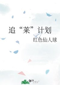 《追“莱”计划》