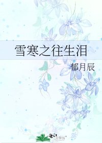 《雪寒之往生泪》