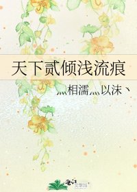 天下贰倾浅流痕