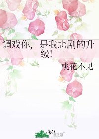 《调戏你,是我悲剧的升级!》