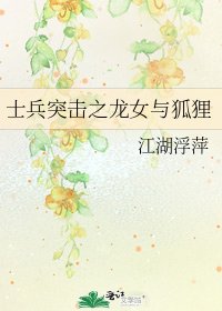《士兵突击之龙女与狐狸》