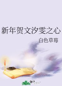 《新年贺文汐雯之心》