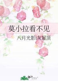 《莫小拉看不见》