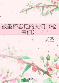 《被圣杯忘记的人们(枪韦伯)》
