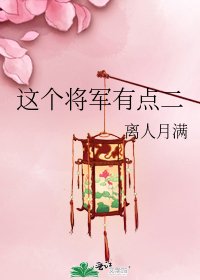 《这个将军有点二》