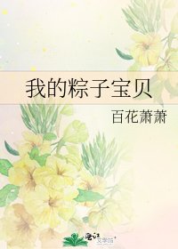 《我的粽子宝贝》