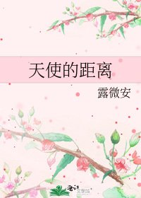 《天使的距离》