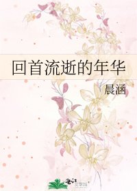 《回首流逝的年华》